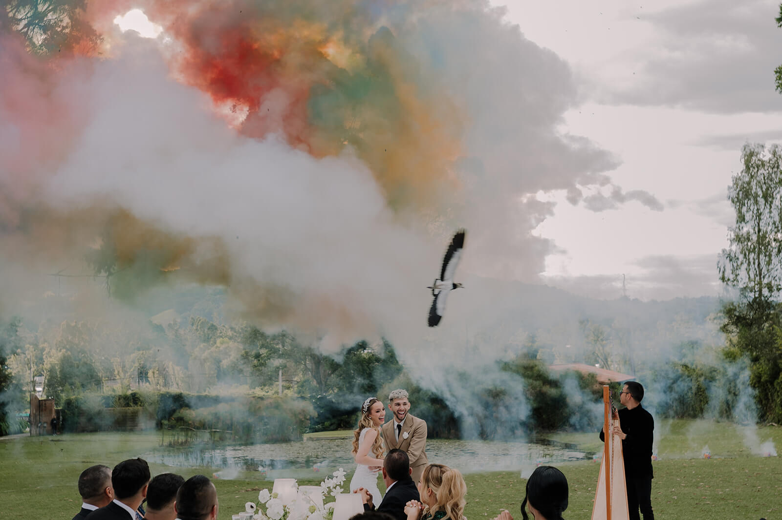 Descripción de la imagen 60